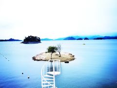 -宝荣鱼馆·临湖之宴(千岛湖店)