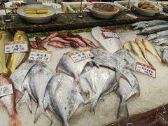 -渔满仓海鲜渔家(象山二店)