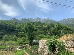 -王顺山国家森林公园