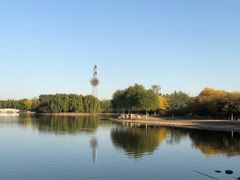 -大兴滨河森林公园