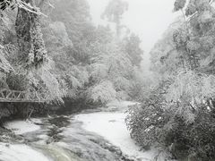 -龙苍沟森林公园