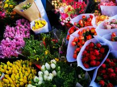 -循礼门鲜花花市(武汉循礼门店)