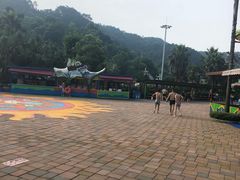 -重庆海昌加勒比海水世界
