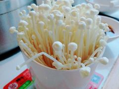 金针菇-焯牛潮汕牛肉火锅(云峰街创始店)