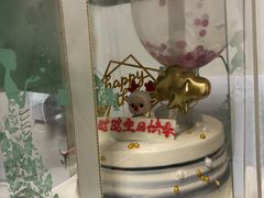 -维尔纳斯·生日蛋糕动物奶油冰淇淋蛋糕(人大店)