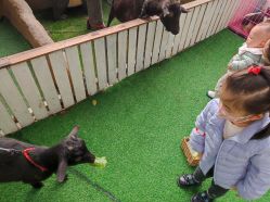 -可可天空农场(中大店)