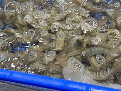 -盒马鲜生(曜一城店)