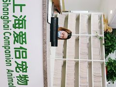 -爱侣宠医·鹦鹉专科·小型哺乳类·异宠专科(灵石路店)