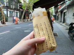 -孙奶奶葱包桧