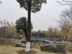 -武汉园博园(武汉自然博物馆)