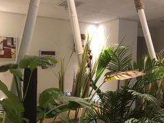 -北里·4k影院式足疗SPA馆(观音桥店)