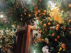 -BELLA CASA