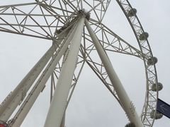 -墨尔本之星 观景摩天轮