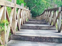 -广州市流溪河国家森林公园