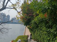 -白鹭洲公园