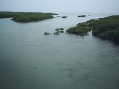 -北海金海湾红树林生态旅游区