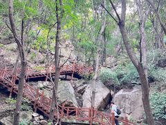 -大岭沟猕猴桃谷风景区