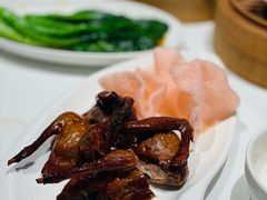 脆皮乳鸽-潮福城潮州大酒楼(湖滨北路店)