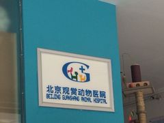 iphone_upload_pic-北京观赏动物医院·24小时大型综合·猫专科·异宠专科