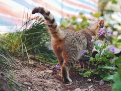 -苏州河梦清园环保主题公园