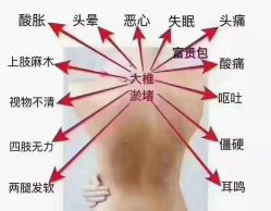 -香薇妮丝女子减肥院