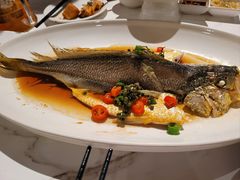 -十六台·经典广东菜(德外大街店)