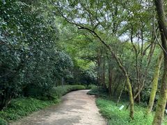 -西湖风景区-江洋畈生态公园