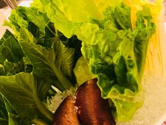 -四季火锅酒家(新濠影汇店)