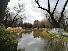 -庾园