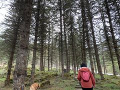 -硗碛藏寨·神木垒景区