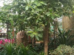 -北镇龙岗子生态园