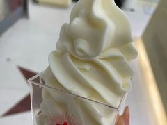 冰淇淋-红星前进面包牛奶公司(畅春园店)