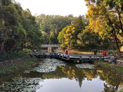 -深圳国际园林花卉博览园