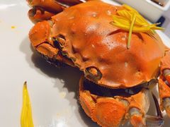 母大闸蟹-徐记海鲜(曲江南湖店)