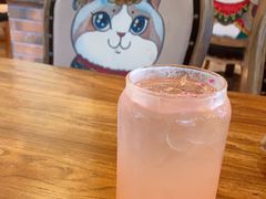 -more than meow吴止猫主题餐厅(承德 中船汇店)