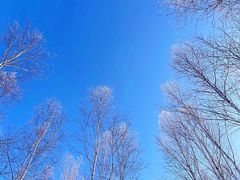 -北极星广场