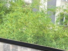 -徐记海鲜(观沙岭|滨江新城店)