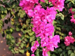 -维乐口腔医院(福清院)