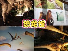 -中国西峡恐龙遗迹园