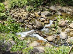 -广州白江湖森林公园