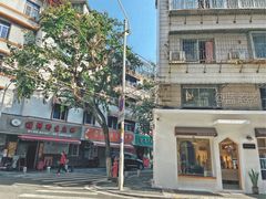 -溪岸路花鸟市场