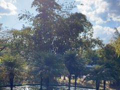 -中国科学院西双版纳热带植物园