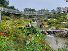-东莞植物园