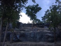 -清迈夜间动物园