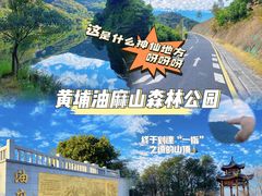 -黄埔油麻山森林公园