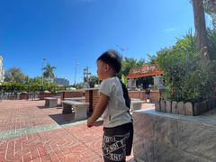 -墨脱石锅椰子鸡•香草鸭•东山羊(大东海店)