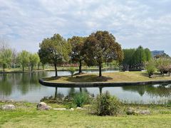 -同济大学(嘉定校区)