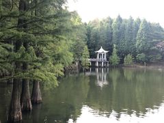 -四明山国家森林公园