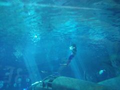 -福州罗源湾海洋世界旅游区