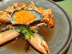 -老吉堂上海本帮菜(望京万象汇店)